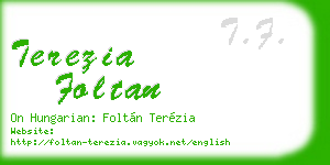terezia foltan business card
